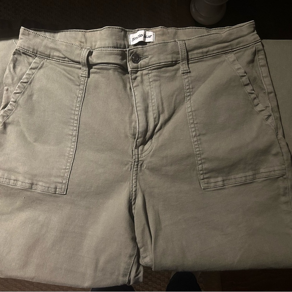 NWOT Studio Blue Cargo Pants size 33
